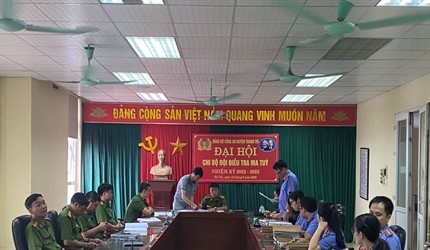 Kiểm sát trực tiếp tin báo, tố giác và rà soát các vụ việc tạm đình chỉ...